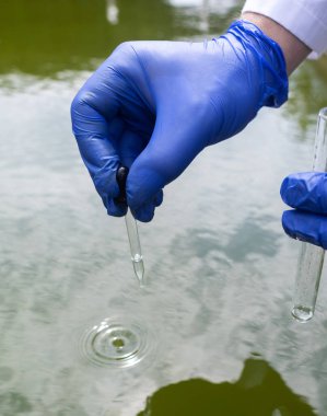 Water sample. Checking the condition of rivers or natural lakes. Water test for chemicals, bacteria, harmful substances, radiation. Collection of material in a test tube for further research.