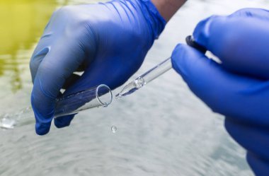 Water sample. Checking the condition of rivers or natural lakes. Water test for chemicals, bacteria, harmful substances, radiation. Collection of material in a test tube for further research.
