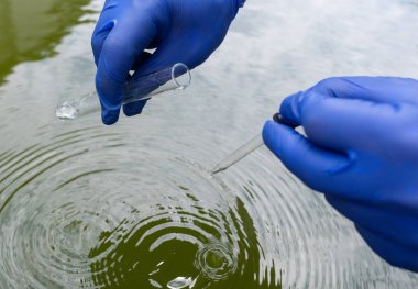 Water sample. Checking the condition of rivers or natural lakes. Water test for chemicals, bacteria, harmful substances, radiation. Collection of material in a test tube for further research.
