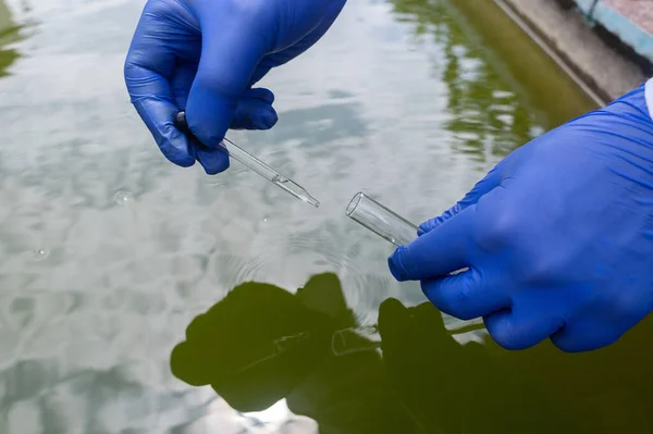 Water sample. Treatment facilities. Quality control of water that has been purified and processed. The laboratory assistant collects material for research. Liquid in a test tube. Sewage treatment