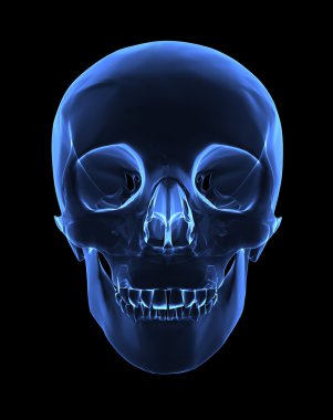 x-ışını kafatası