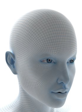 Face with soft wireframe clipart