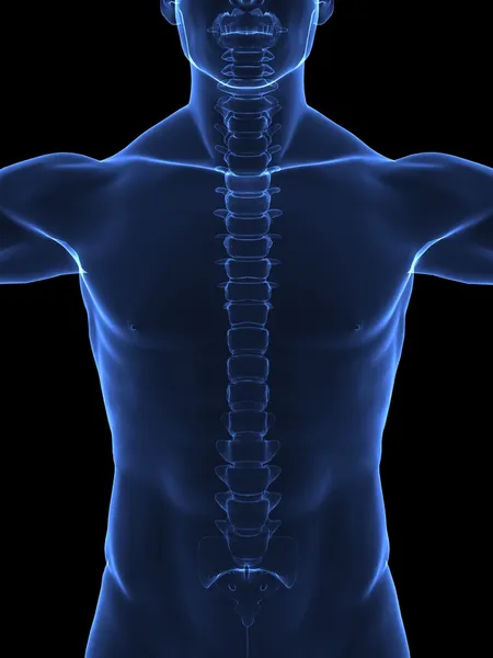 Cuerpo humano de rayos X — Foto de Stock