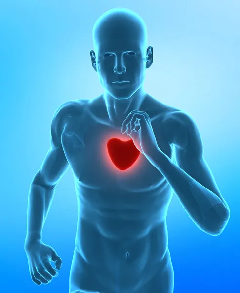 Healthy heart concept — Stock Photo, Image