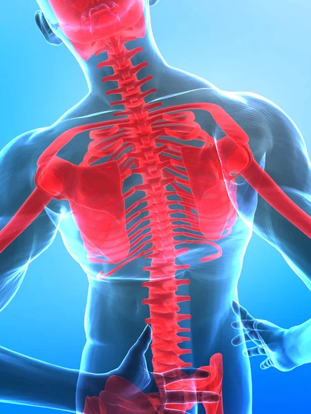 Human x-ray spine — Stock Photo, Image