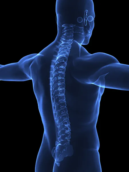 Colonna vertebrale umana in raggi X — Foto Stock