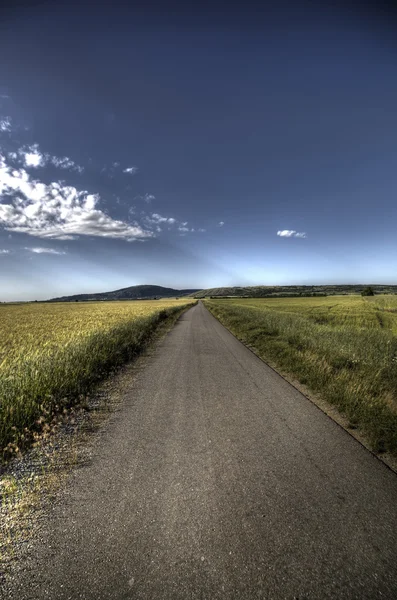 Asphalt road through field — Stock Photo, Image