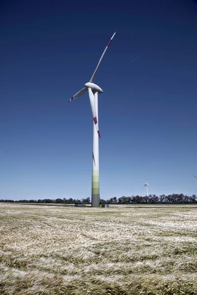 Wind mill in grain — Stock Photo, Image