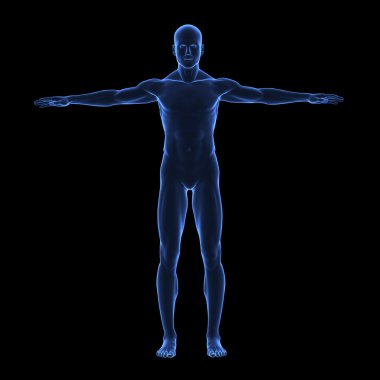 x ışını insan vücudu