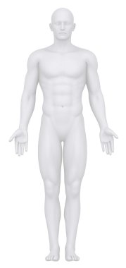 Beyaz bir erkek anatomik pozisyonda izole
