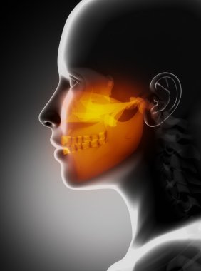 Maxillofacial concept x-ray jaws clipart