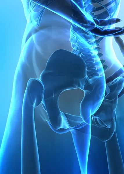 Detail view of hip and pelvis — Stock Photo, Image