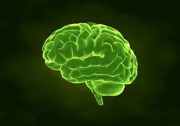 X-ray mänskliga hjärnan — Stockfoto