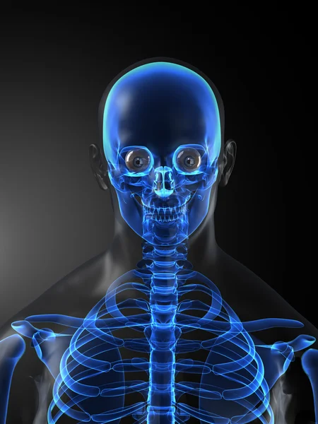 Escaneamento médico de esqueleto humano — Fotografia de Stock
