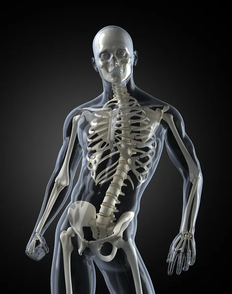 Escaneo médico del cuerpo humano — Foto de Stock