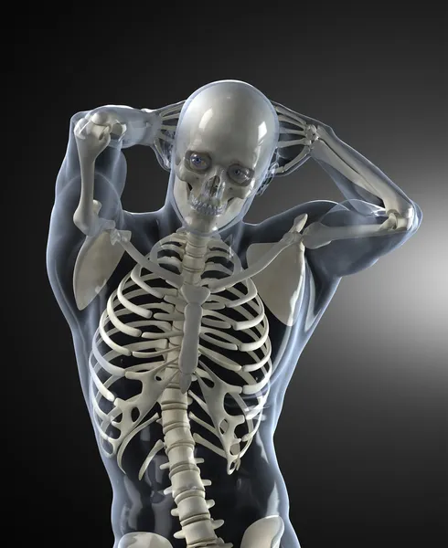 Escaneo médico del cuerpo humano vista frontal — Foto de Stock