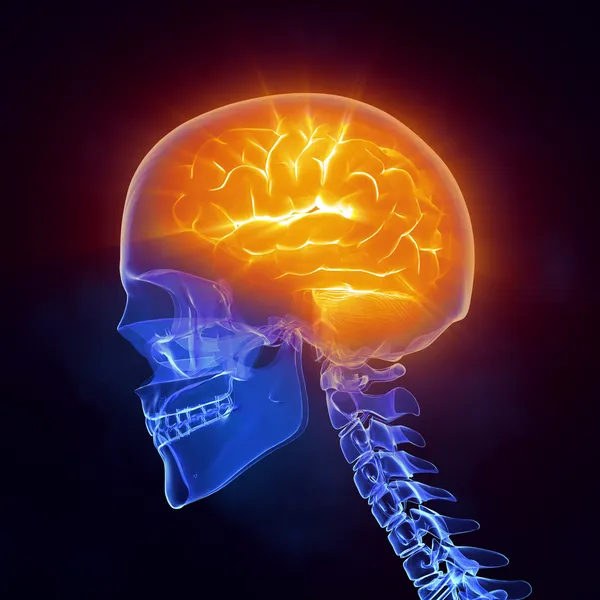 X-ray brain medical scan side view — Stock Photo, Image