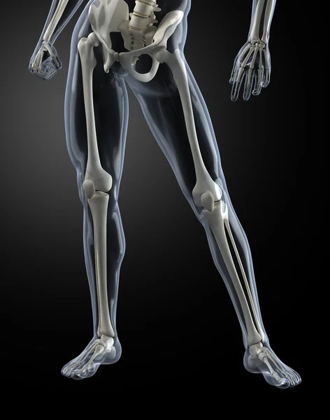 Чоловічий людськими ногами рентген — стокове фото