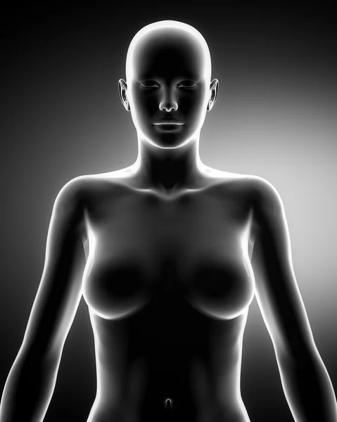 Torse féminin en position anatomique vue antérieure — Photo