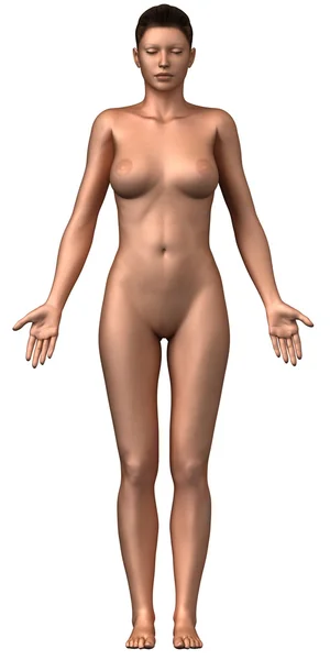 Naked woman isolated frontal view — Stock Photo, Image