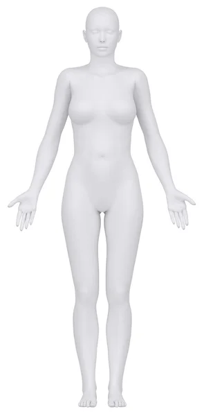 White female figure in anatomical position anteriror view — Stock Photo, Image