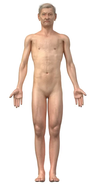 Viejo desnudo en posición anatómica aislado - toda la familia también disponible — Foto de Stock