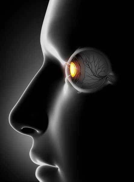 Male face with human eye antomy — Stock Photo, Image