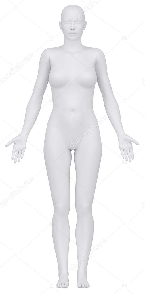 White female figure in anatomical position anteriror view