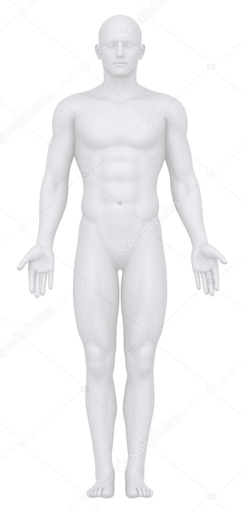 White male isolated in anatomical position
