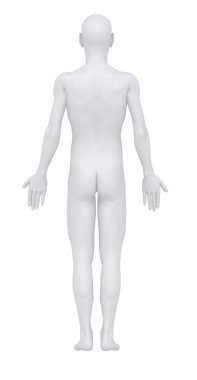 yaşlı adam anatomik pozisyon arkadan görünümü