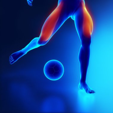 sporstman bacak kas kuadriseps vurguladı.