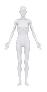 Anatomik olarak pozisyonlar Ön görünümünde anoreksik kadın