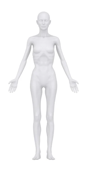 Anorexic woman in anatomical position anterior view — Stock Photo, Image