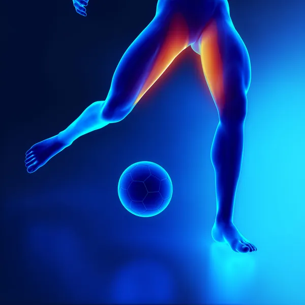 Strained thigh muscle concept in x-ray — Stock Image Strained thigh muscle concept in x-ray Stock Photo