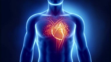 insan kalp sorunu