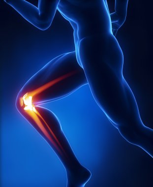 Running man knee anatomy clipart