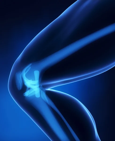 ランニング姿の人間の膝の解剖学 — ストック写真