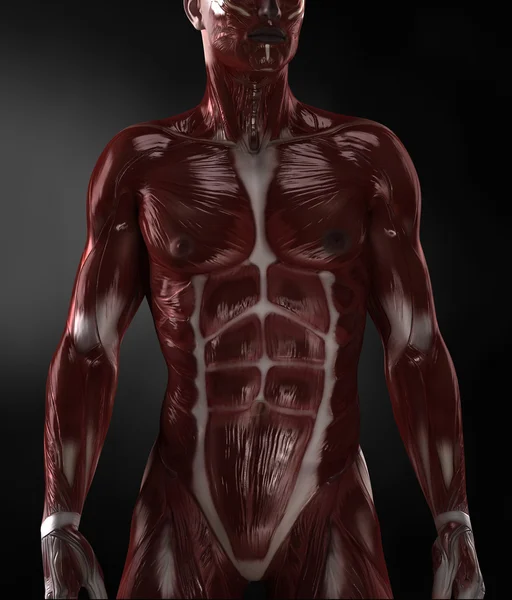 Muž s nahý svalů — Stock fotografie