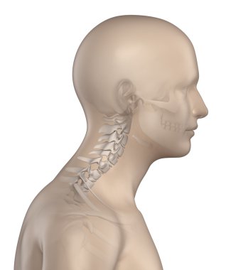 Kyphotic spine in cervical region phase 2 clipart