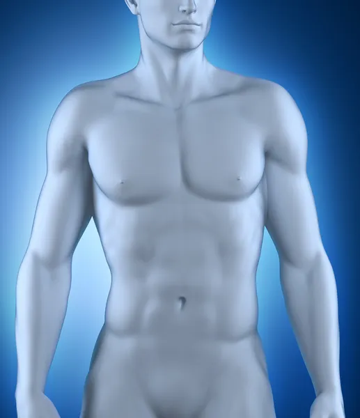 Mannen i anatomisk position — Stockfoto