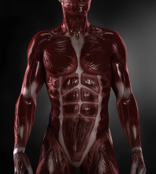 裸の筋肉を持つ男 — ストック写真