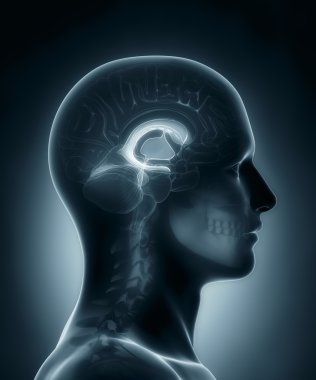 ventriküller tıbbi x-ray tarama