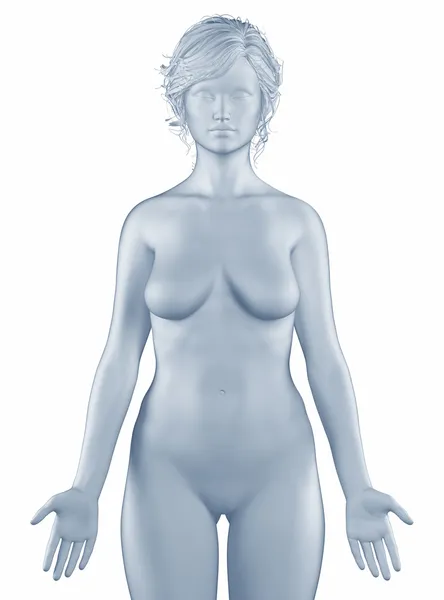 Kobieta w pozycji anatomicznej, na białym tle — Zdjęcie stockowe