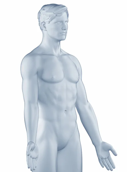 Homme en position anatomique isolé — Photo