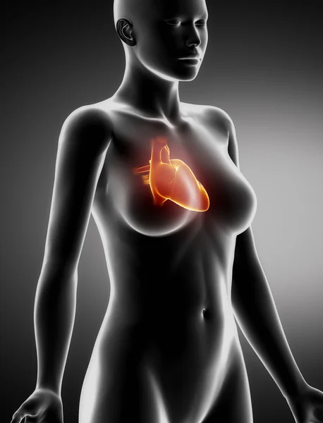 Female HEART x-ray lateral view — Stock Photo, Image