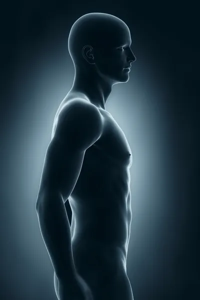 Widok boczny męskiej anatomii — Zdjęcie stockowe