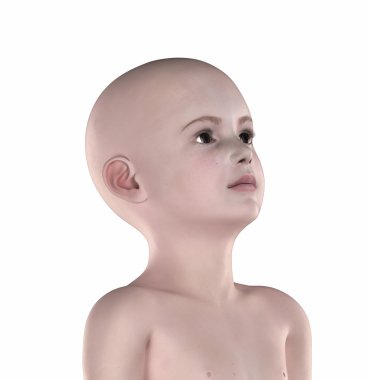 çocuğun anatomik poz izole