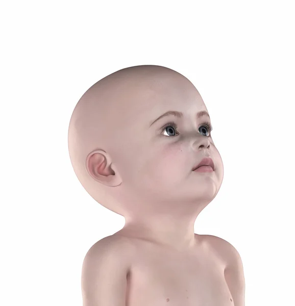 Posizione anatomica del bambino isolata — Foto Stock