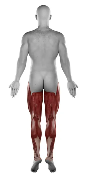 Pierna muscular masculina — Foto de Stock