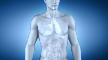 Beyaz erkek solunum sistemi tıbbi tarama